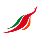 airline-logo